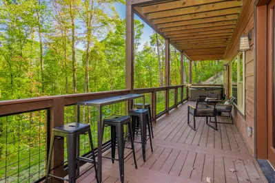 Three Little Bears In The Smokies 58