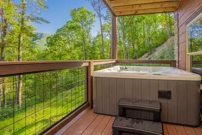 Three Little Bears In The Smokies 59