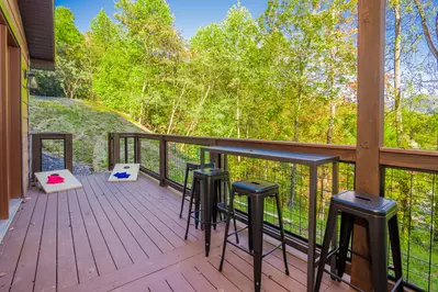 Three Little Bears In The Smokies 61