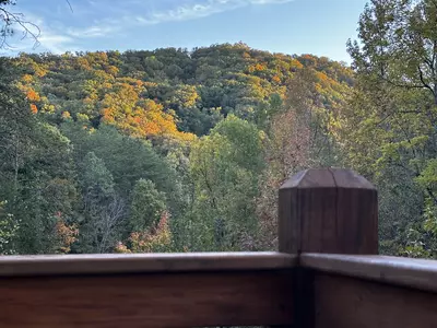 Sugar Mountain Retreat 42
