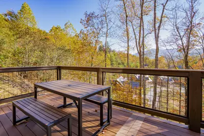 Three Little Bears In The Smokies 62