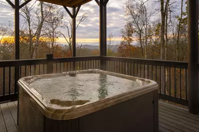 Splash Mountain Lodge 111