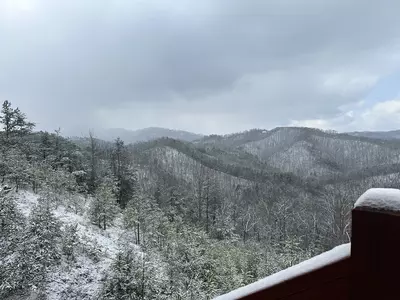 Amazing Adventure Lodge 94