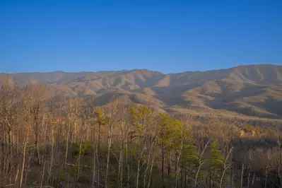 Gatlinburg Country High Life 86