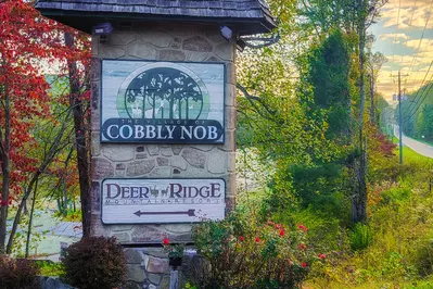 Gatlinburg Mountain Romance 35