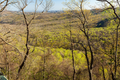 Sugarlands Valley Nature Trail