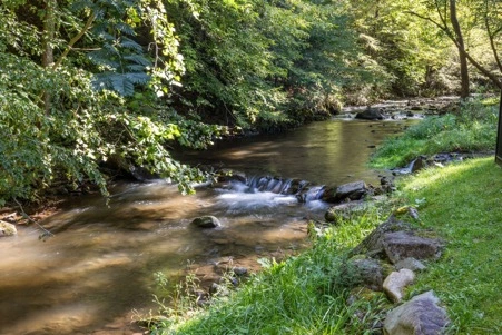 Bear Lodge at Bent Creek