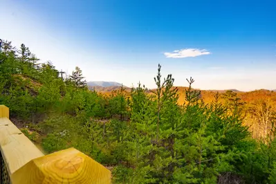Amazing Adventure Lodge 41