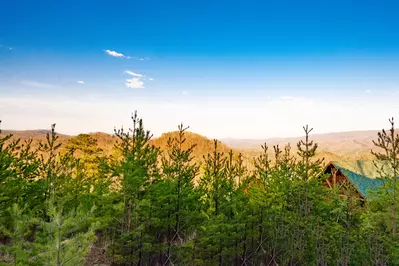 Amazing Adventure Lodge 29