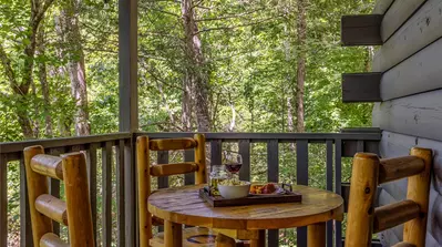 Black Bear Retreat 23