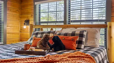 Misty Mountain Retreat 19