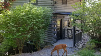 Misty Mountain Retreat 36
