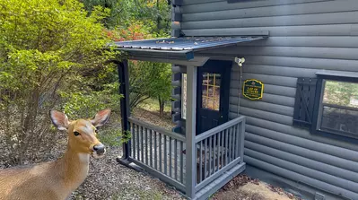 Misty Mountain Retreat 37
