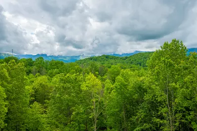 Mountain Vista 40
