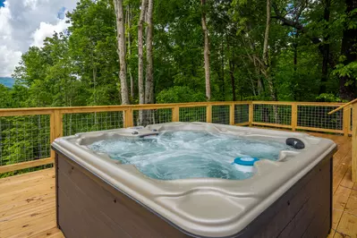 Mountain Vista 45
