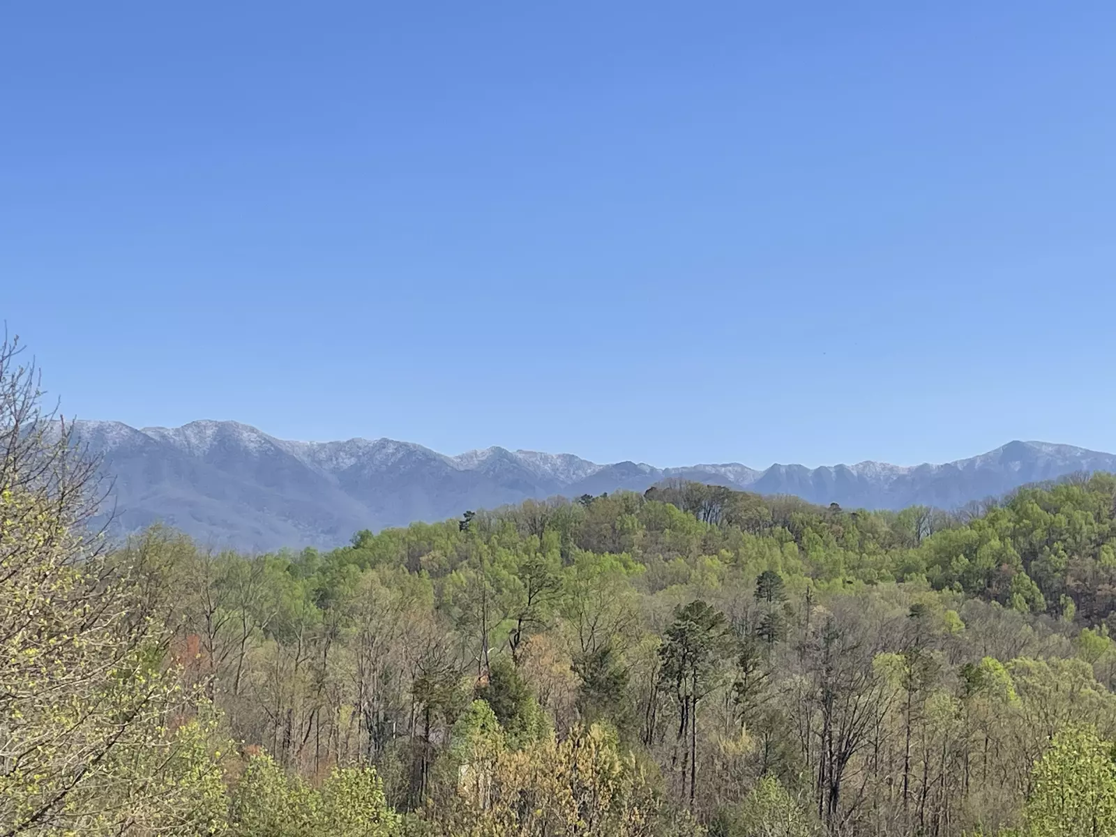 Mountain Vista