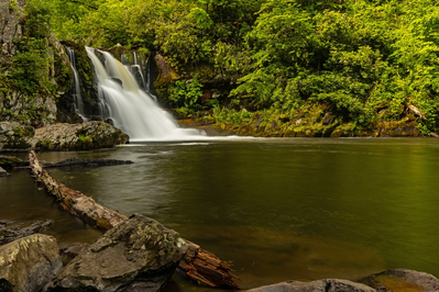 Abrams Falls