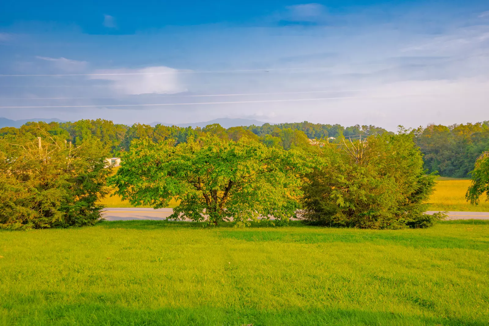 Broad Mountain View