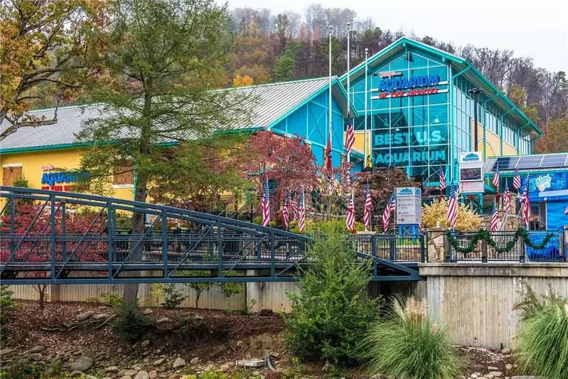 A Gatlinburg Mountain Top Splash