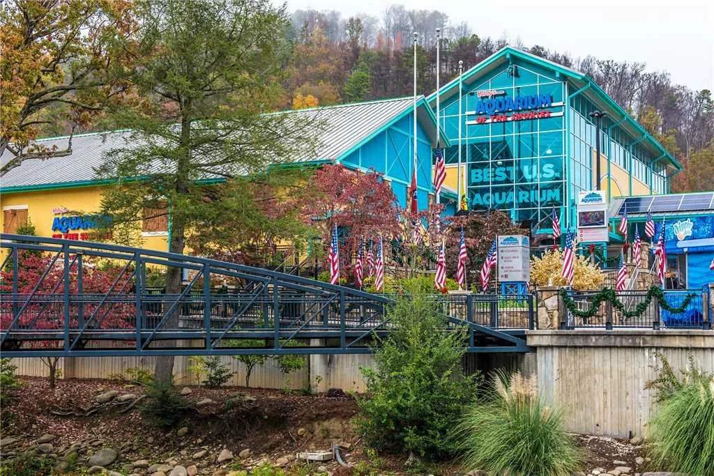 A Gatlinburg Mountain Top Splash