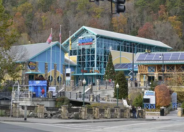 A Gatlinburg Mountain Top Splash