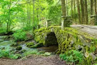 elkmont is one of the best places in the great smoky mountains