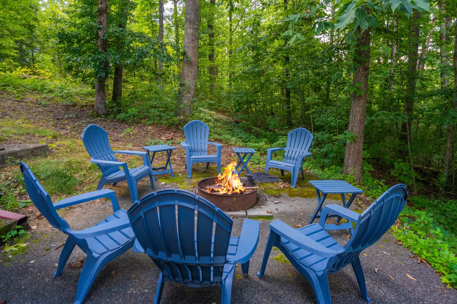 Bear Paw Lodge