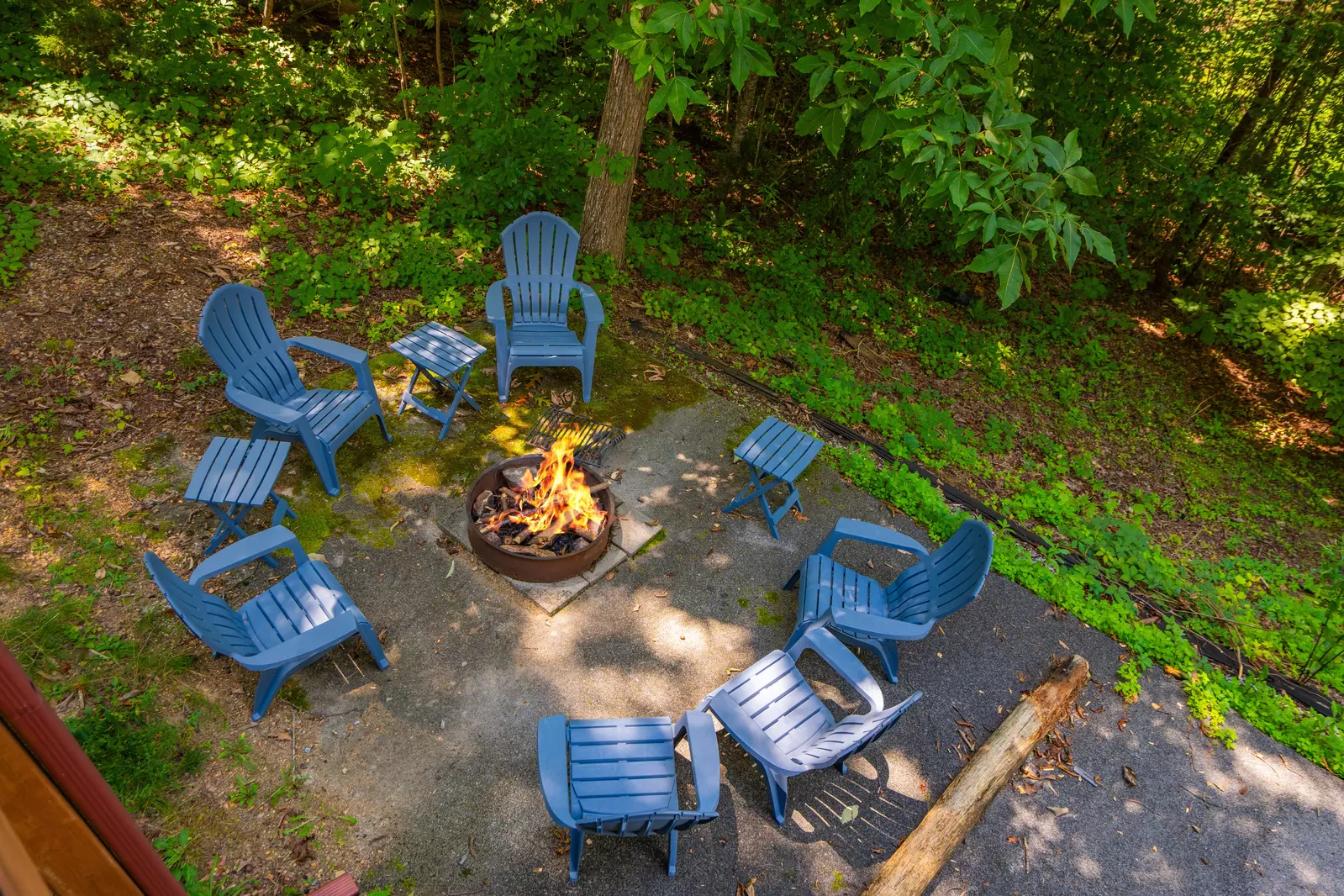 Bear Paw Lodge