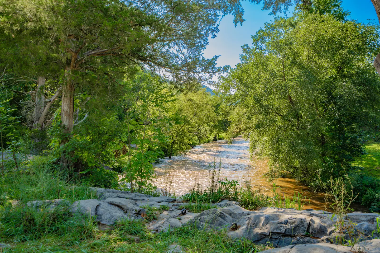 River View