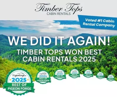 Best Cabin Rentals 2025 Picture for Special