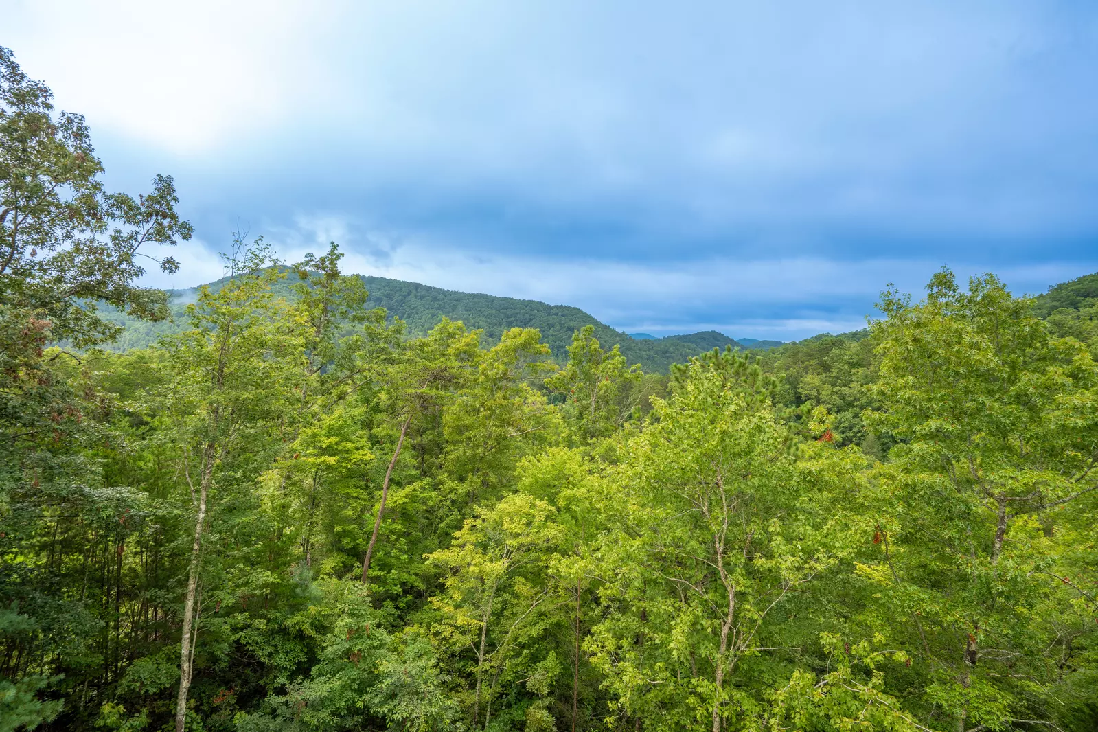 Rustic Ridge