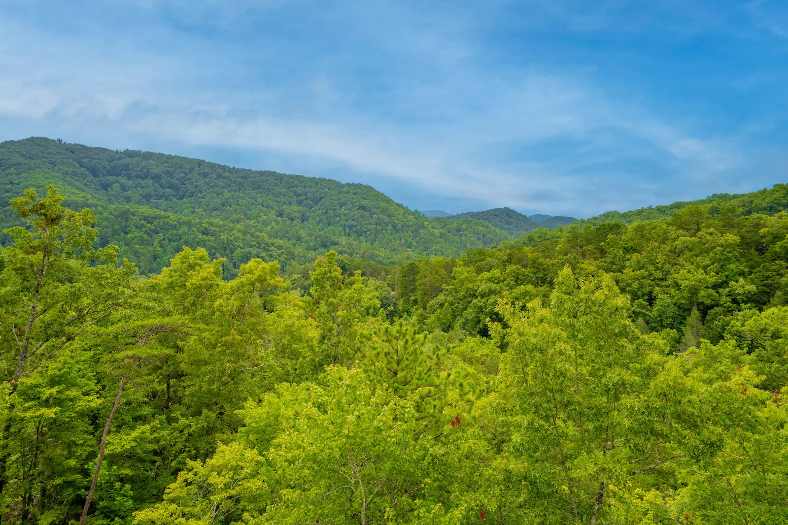 Rustic Ridge