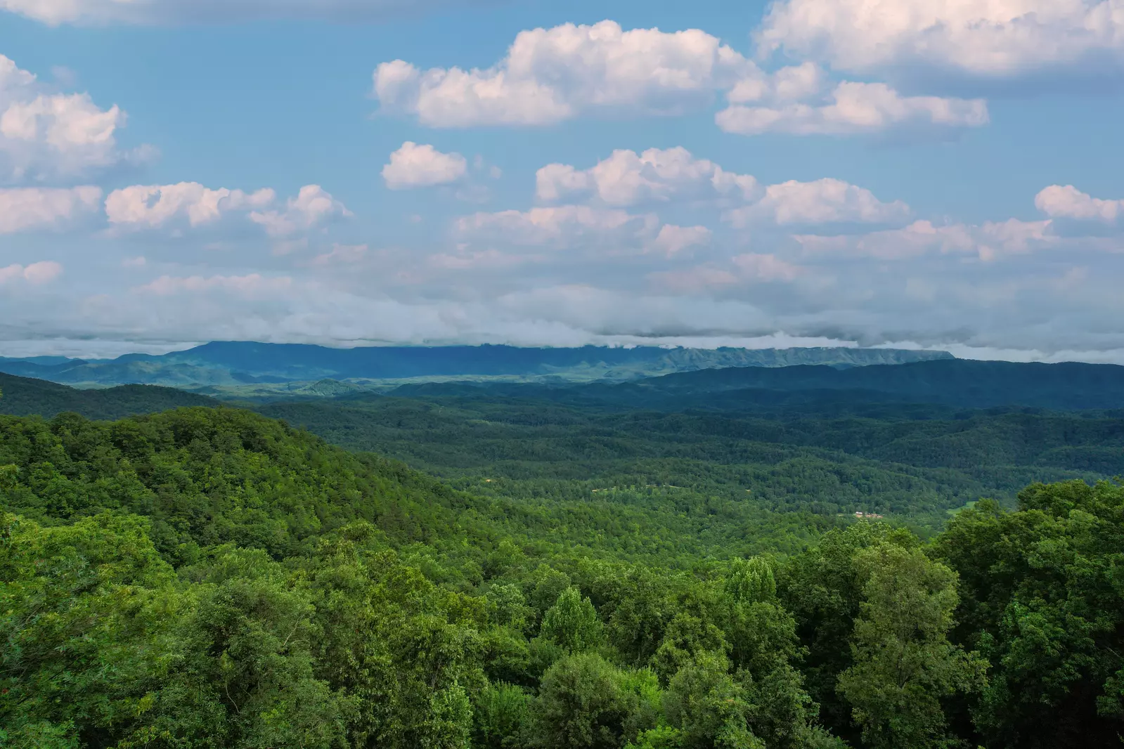 Endless Views