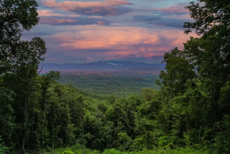 Endless Views