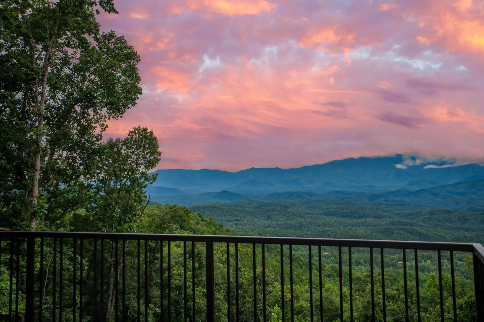 Endless Views