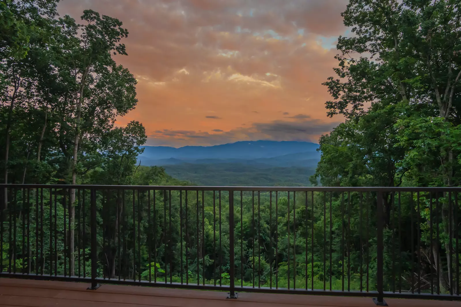 Endless Views