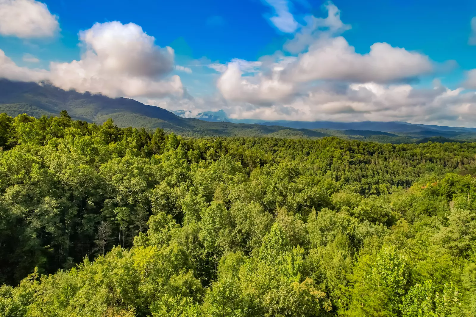 Great Smoky Lodge