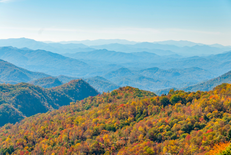 fall foliage in the smoky mountains