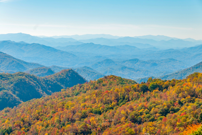 fall foliage in the smoky mountains