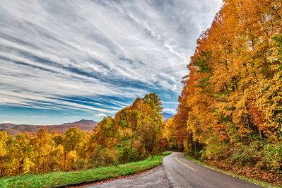 drive through fall foliage in the smoky mountains