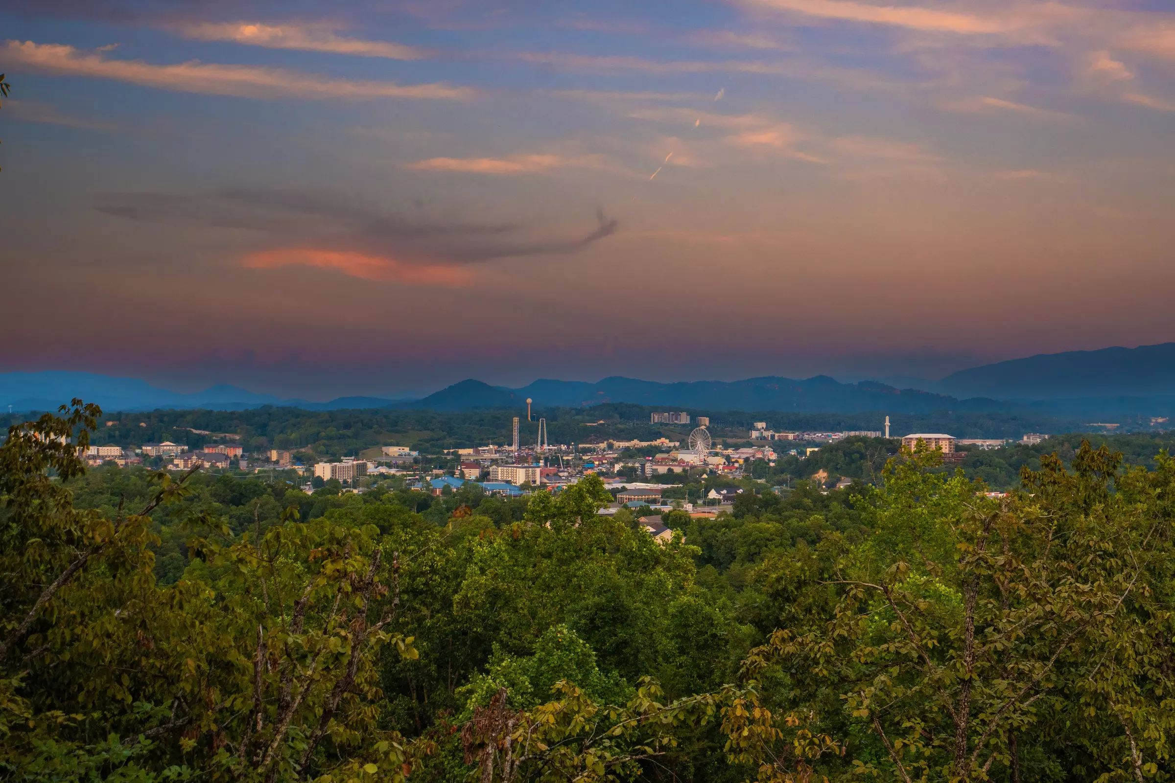 Picture of Instagram