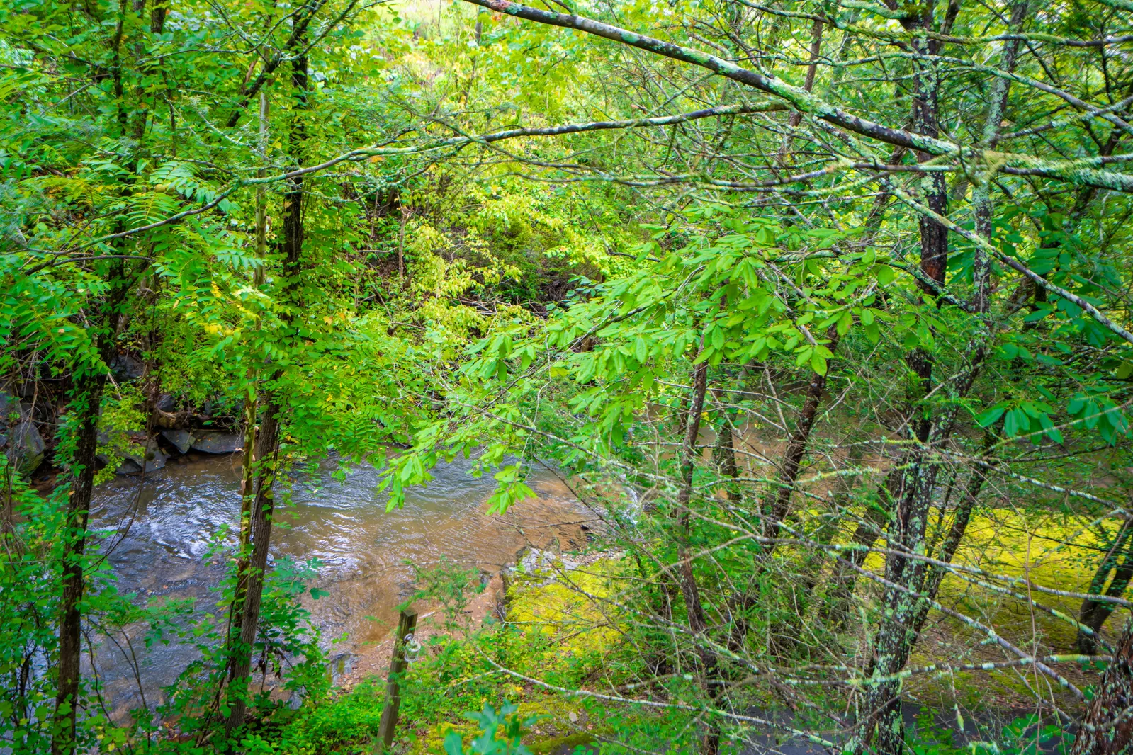 Keaton's Knotty Hideaway