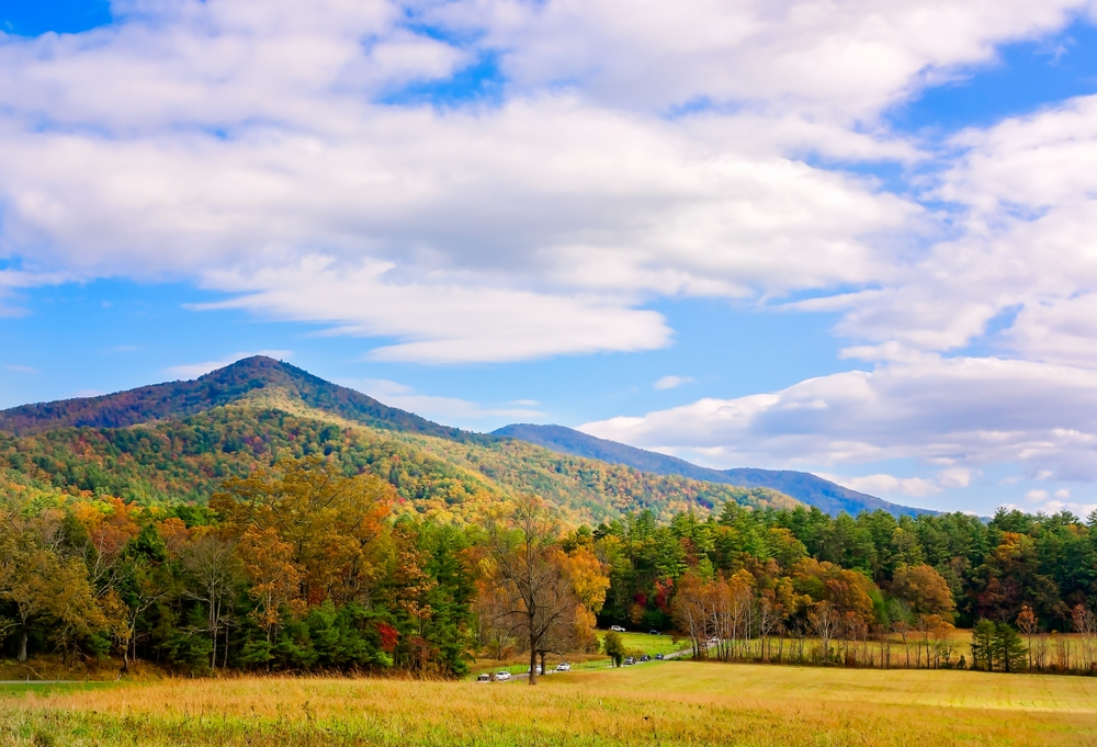 fall foliage in cades cove