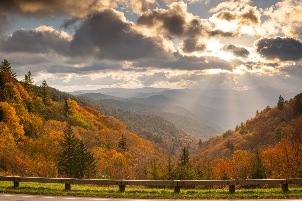 Newfound Gap fall view