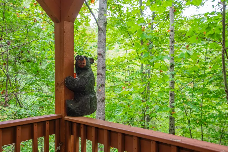 Forest View Hideaway