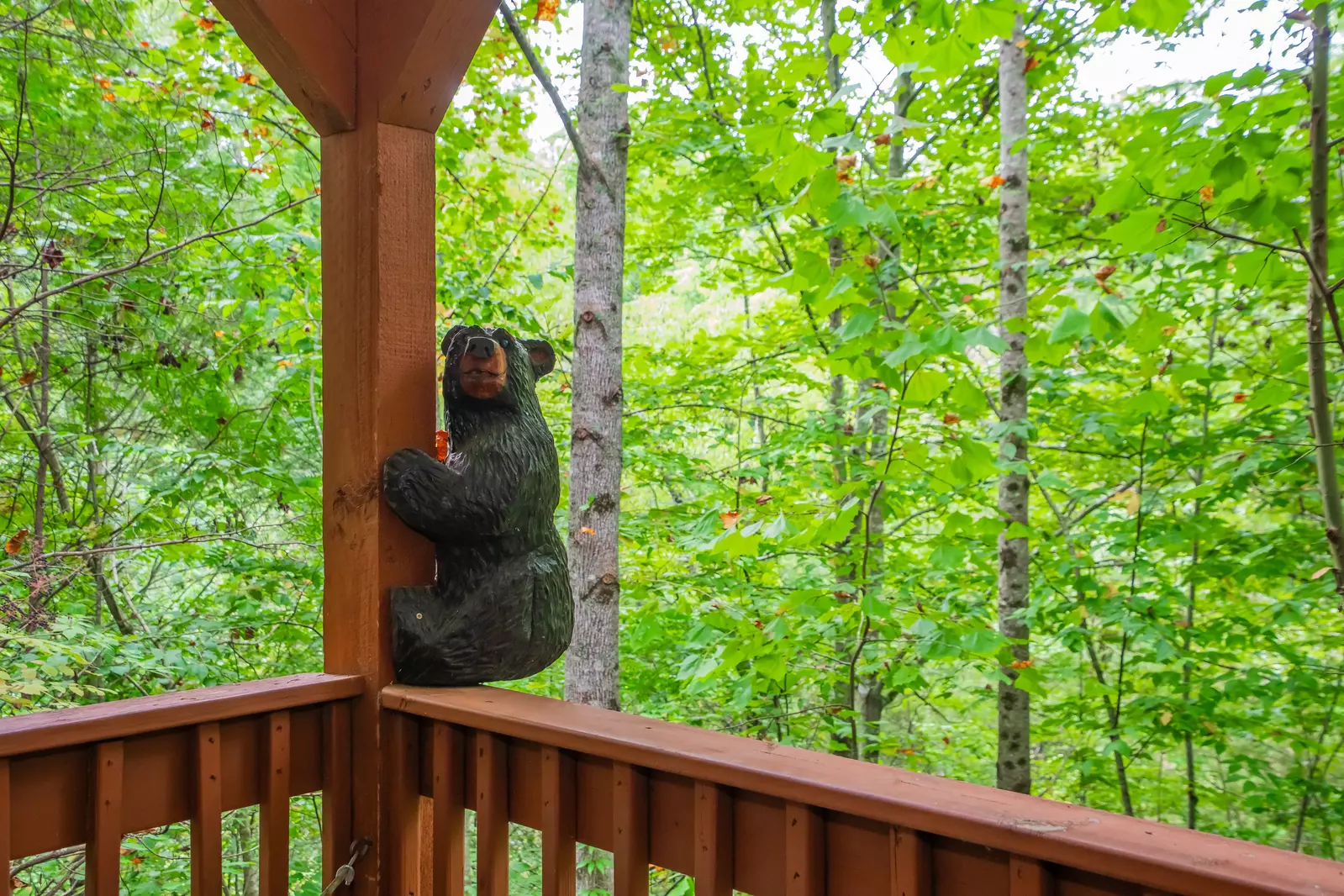 Forest View Hideaway