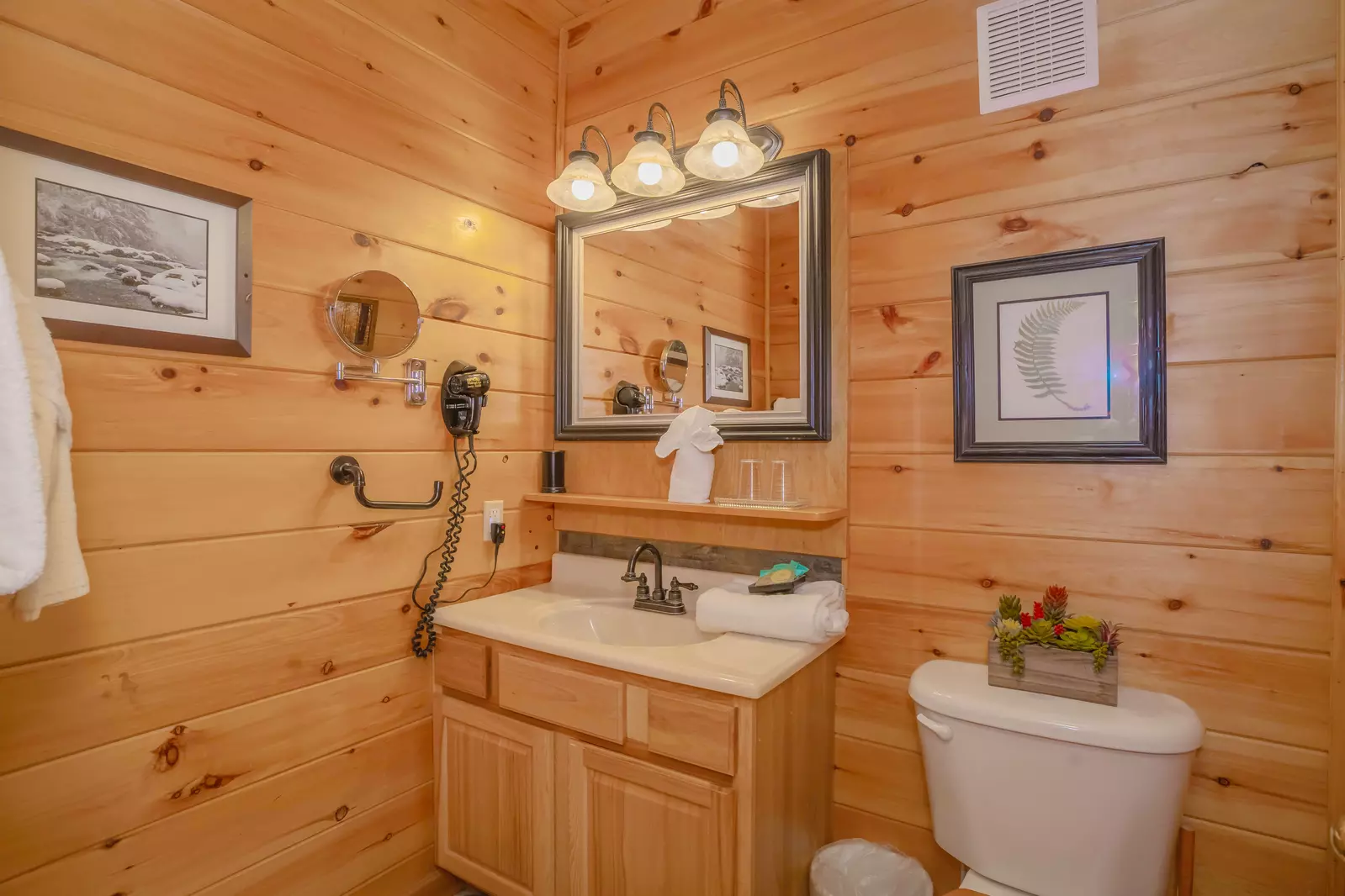 Forest View Hideaway