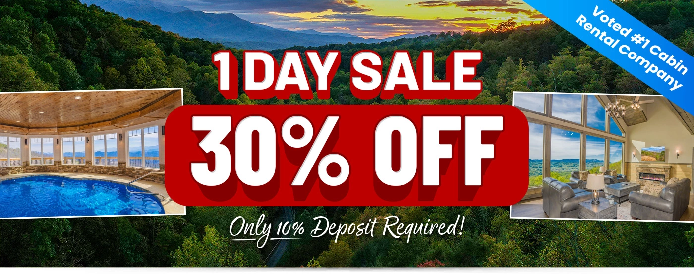 1 Day Sale 30% Off