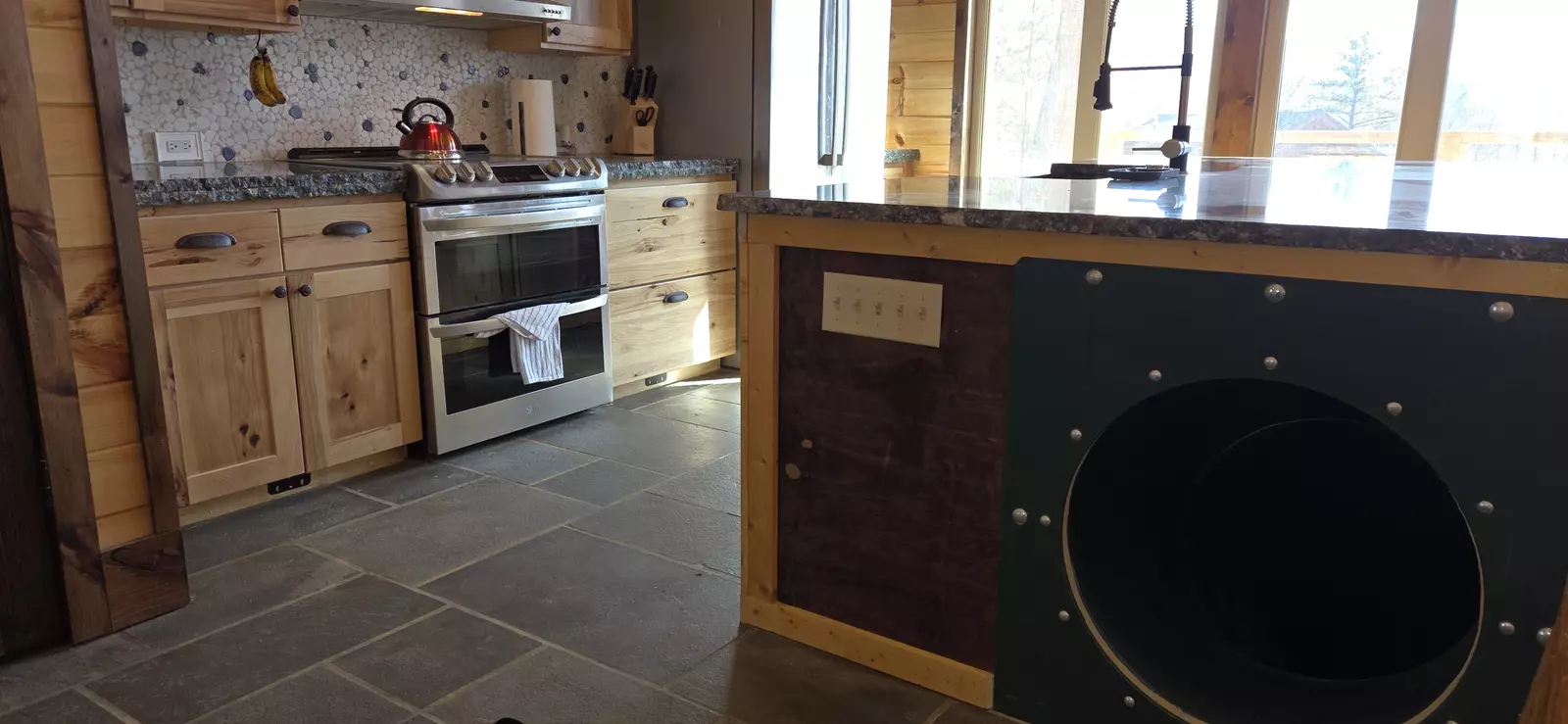 Birds Perch Bluebird