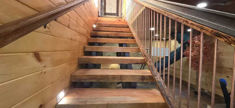 Birds Perch Bluebird